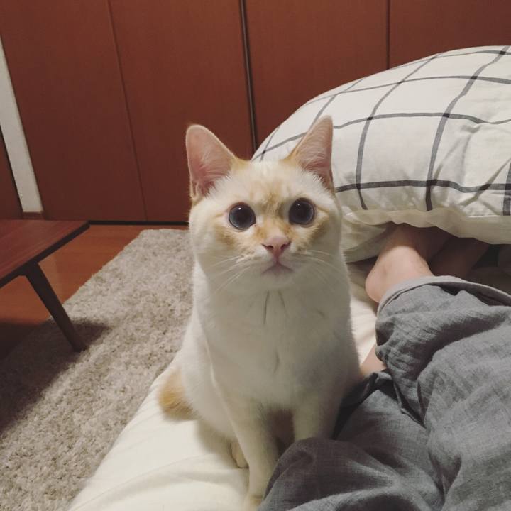 18db8963 427f 407d a006 d7bf4381fc75