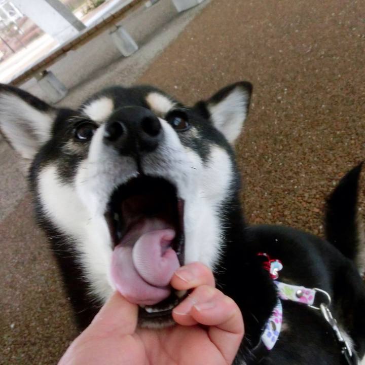 18db9b4c e3d1 4d58 a5a6 4f13b3a69185