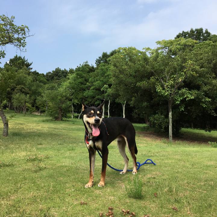 18dbbd8b ca20 4e5c b3e0 3b2fae2ced72