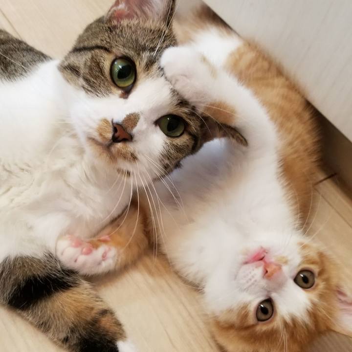 18dc22e5 ae8f 40d1 91a6 bdf8b58e7440