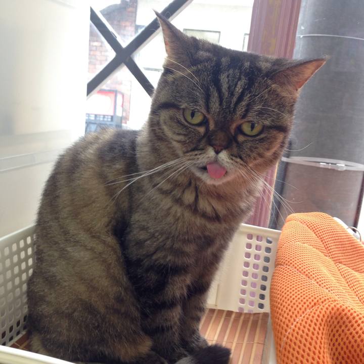 18dc51fd f3c3 4e6f b8ec 44242594e288