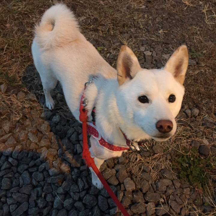 18dc61be 4f7e 43b5 acba 85cb788b7990