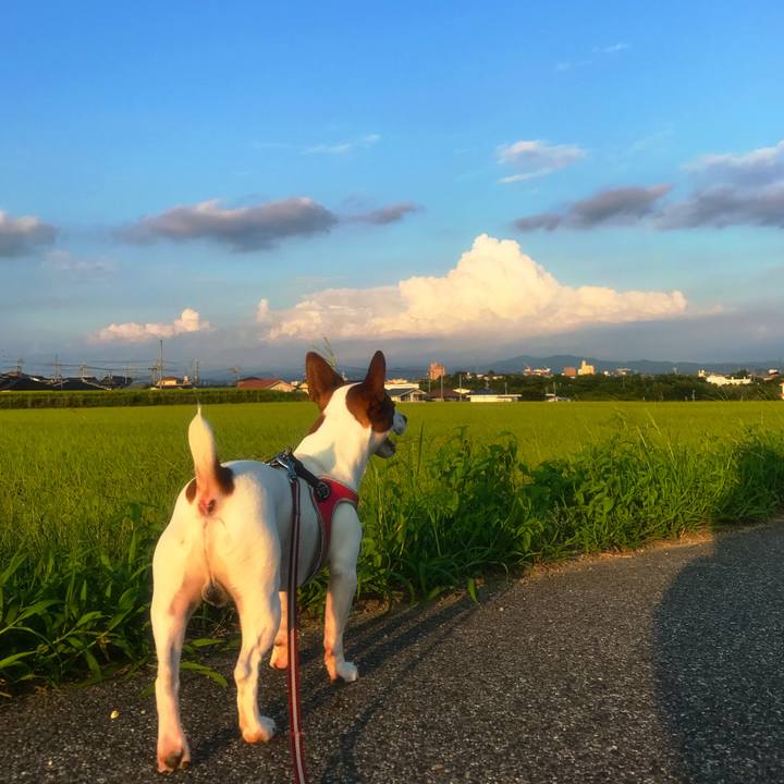 18dc6e49 5665 4581 9a53 38a7a02d8bf4