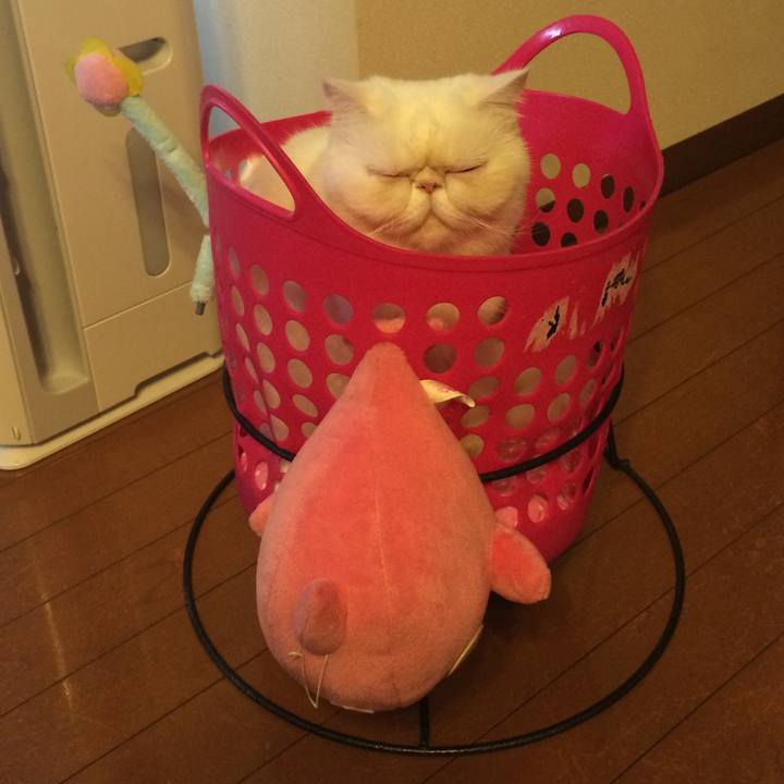 18dcef24 0a7e 4da1 b037 d8c4e1ba8575