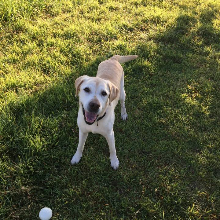 18dd382d 392b 4a20 bda7 6bbf52e9eab0