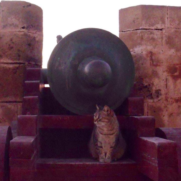 18de047e 9de0 4a44 8c5f d69cf228e1e9