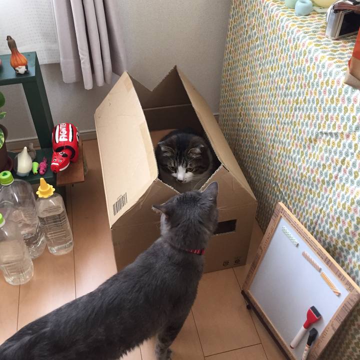 18de9c42 f93b 4441 8f5d 9160dc0c1f75