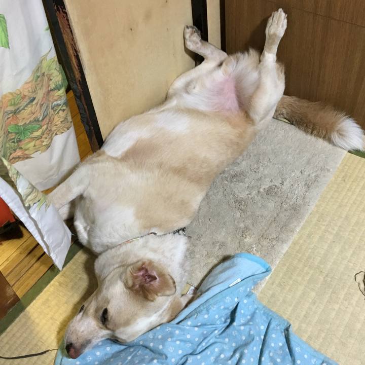 18dee3c1 99b3 4d9e 98b4 6b6de2ab7f64