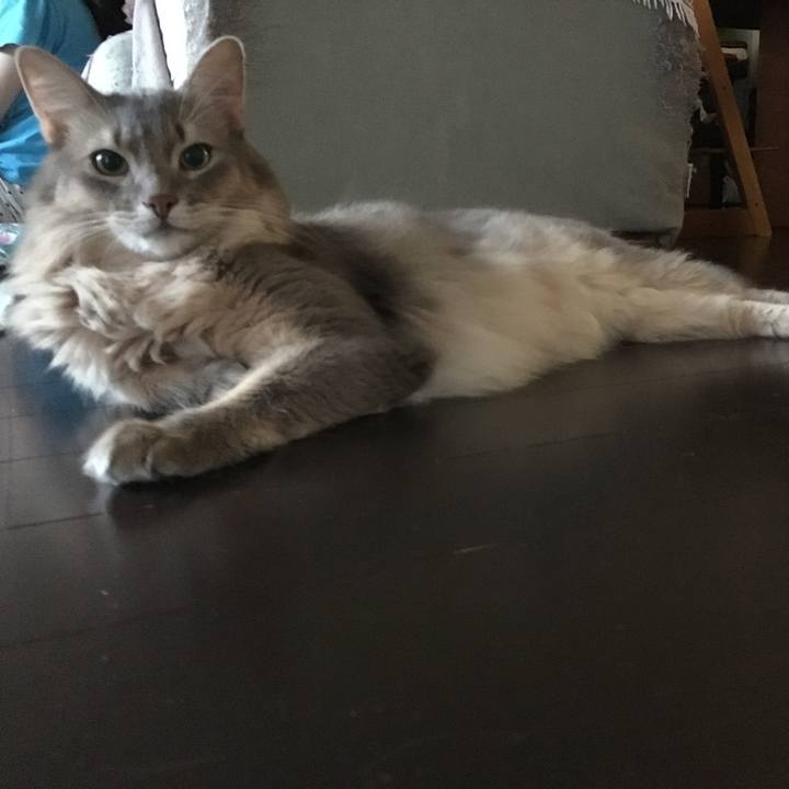 18df50de 924d 47ee 8e1c 8a54922577d8