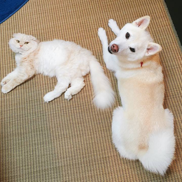 18df5a66 33f0 4f7a a67f 32dcc5431793