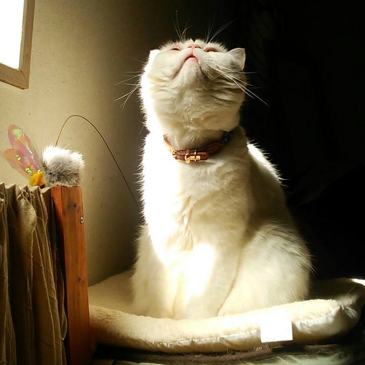 18df6c7d dbd7 4555 9888 6bb1279705e7