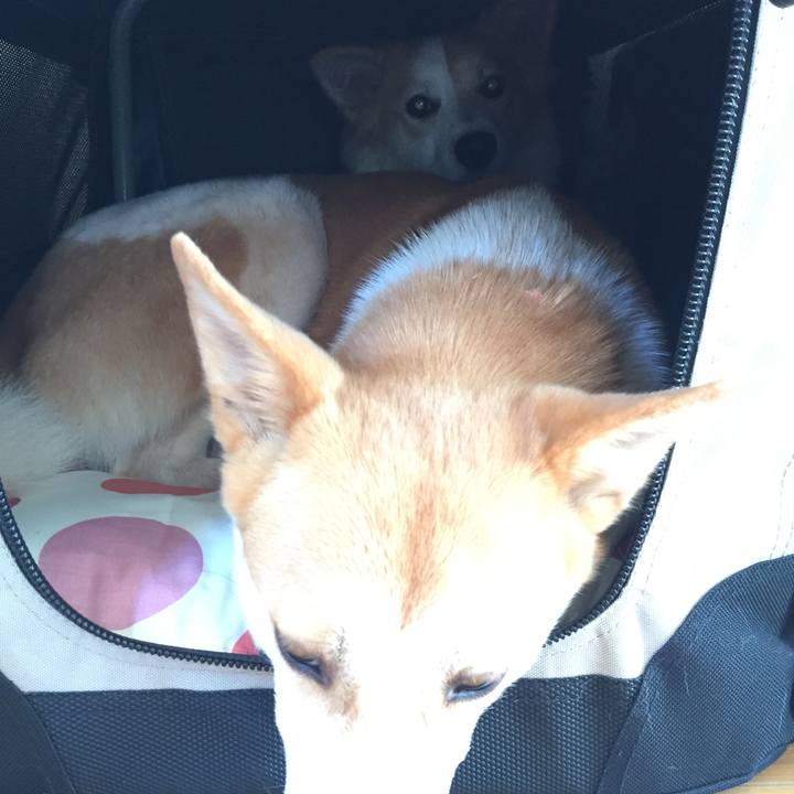 18e06dcc a9aa 4775 a5eb 76db1164995c