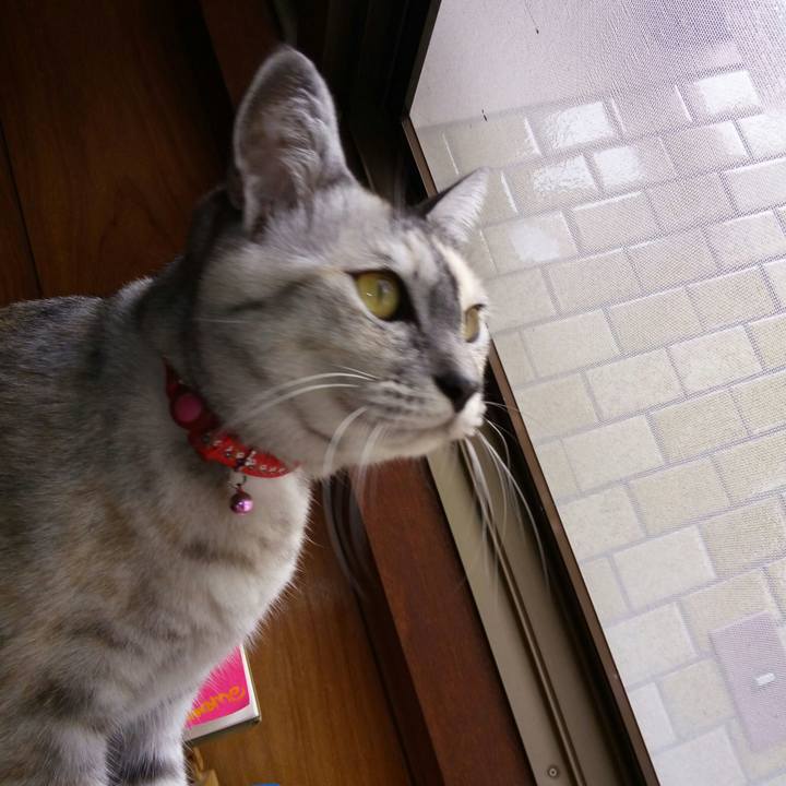 18e07abd 5640 4e11 80bf d75c2ac8f04e