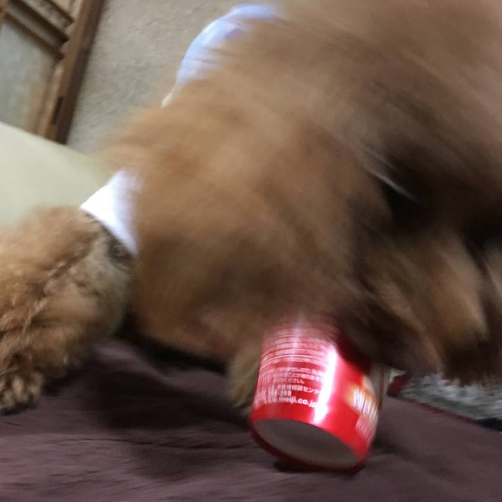 18e0f540 502d 4054 8060 1ffa35eb63fe