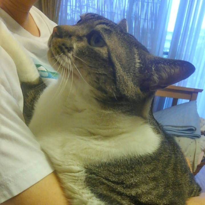 18e1344f 68ae 4a6f b47b 56dc316b71b1