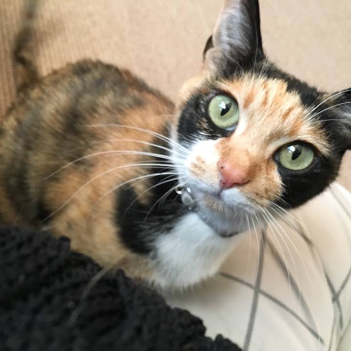 18e1ea31 5567 4d21 8f30 cd531ad99748