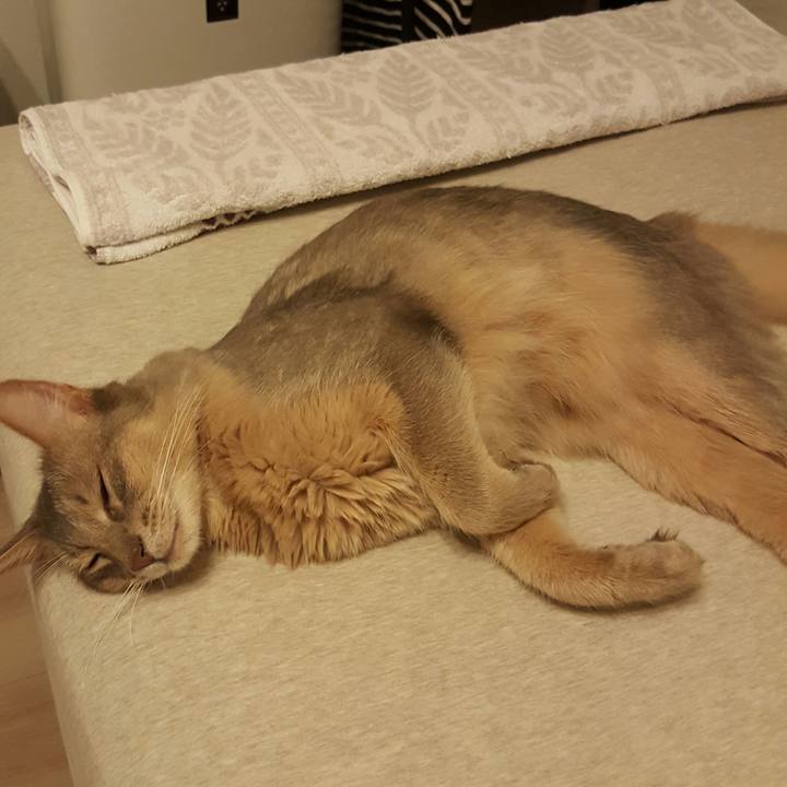 18e205b5 9c1e 4a49 b019 28c99931bc85