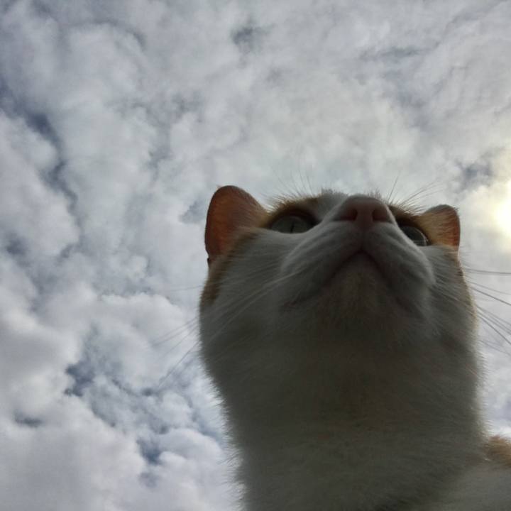 18e270ef 4478 452c 9254 9ad3ac3917da