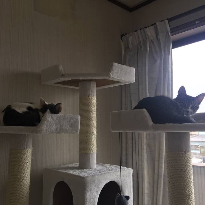 18e289d5 0bb1 4068 855b 246315b732fa