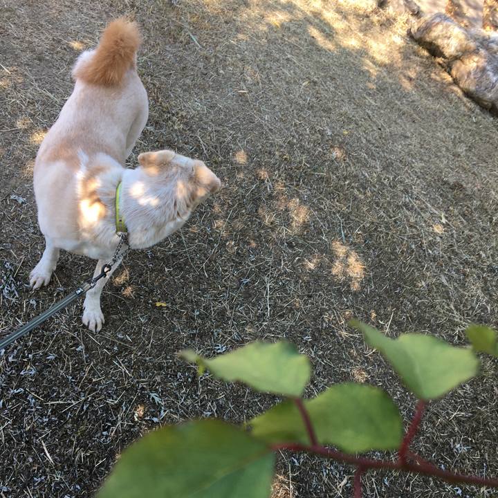 18e29fcd c23a 43ac b85a f807300ba8ee