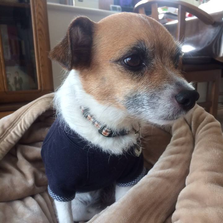 18e30411 264d 4aba 82e2 3ffdf58216c8