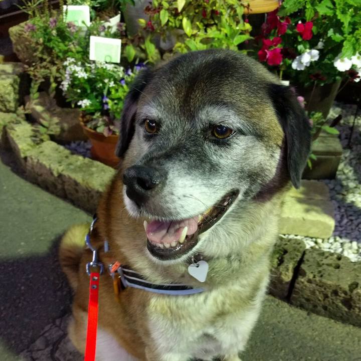 18e3bb6b 13c4 42c3 bab3 10ccb0b92cc5