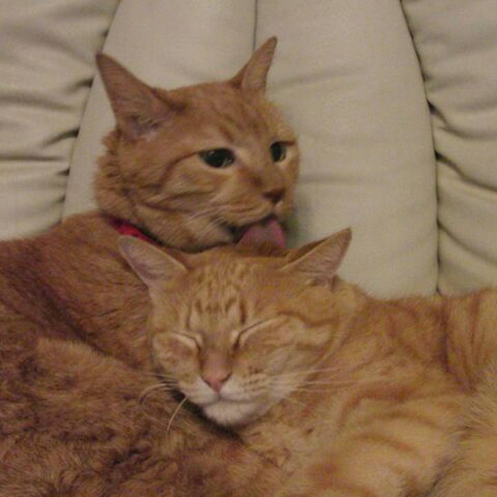 18e4551b d831 4b27 9b59 59798cabae0c