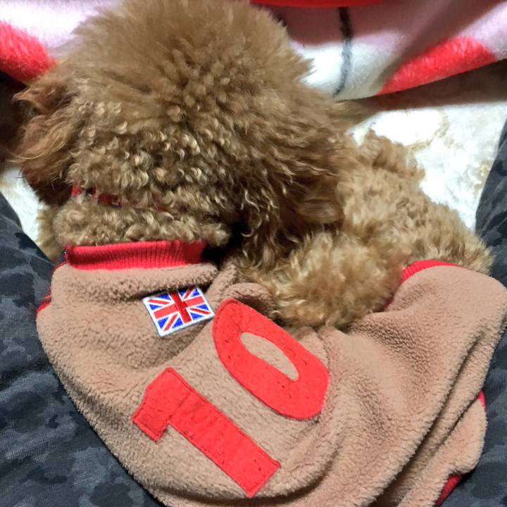 18e48624 b40b 4303 ae5f a8e36e5f7e5d