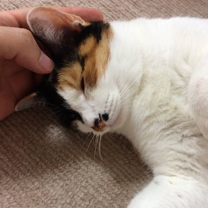 18e4b38c 0336 4433 b6bd 768b5bc02bdd