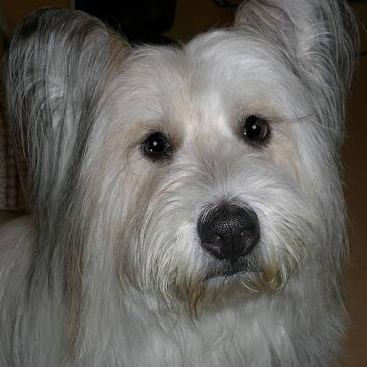 18e4dfd9 ccc0 454e a3f9 03a0c144ea45