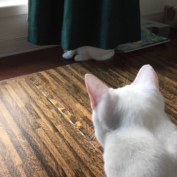 18e57e69 1c7d 4726 bb93 b083f9bfd31d