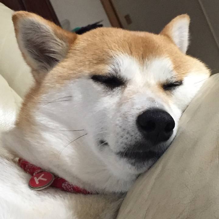 18e5cb8d 2948 4060 a218 c83d2472f9d8