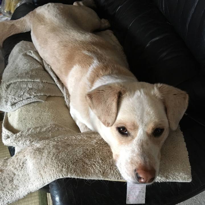 18e625e5 790a 433f 89dc b448884fc735