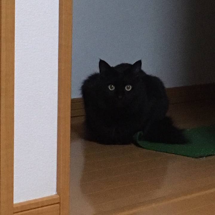 18e66154 eb42 41fe a5e8 8b368766f6f4