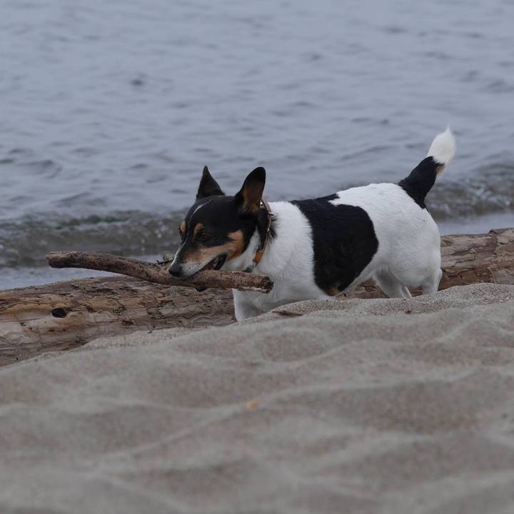 18e6a674 6925 4ec3 86bd 952862b9bd54