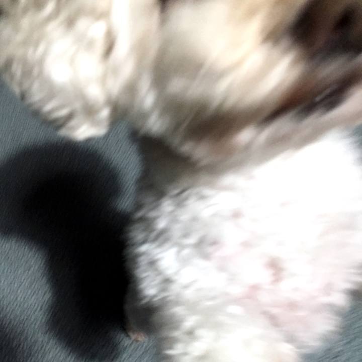 18e71e7c b2f0 429a 9636 eb36a79eee4f