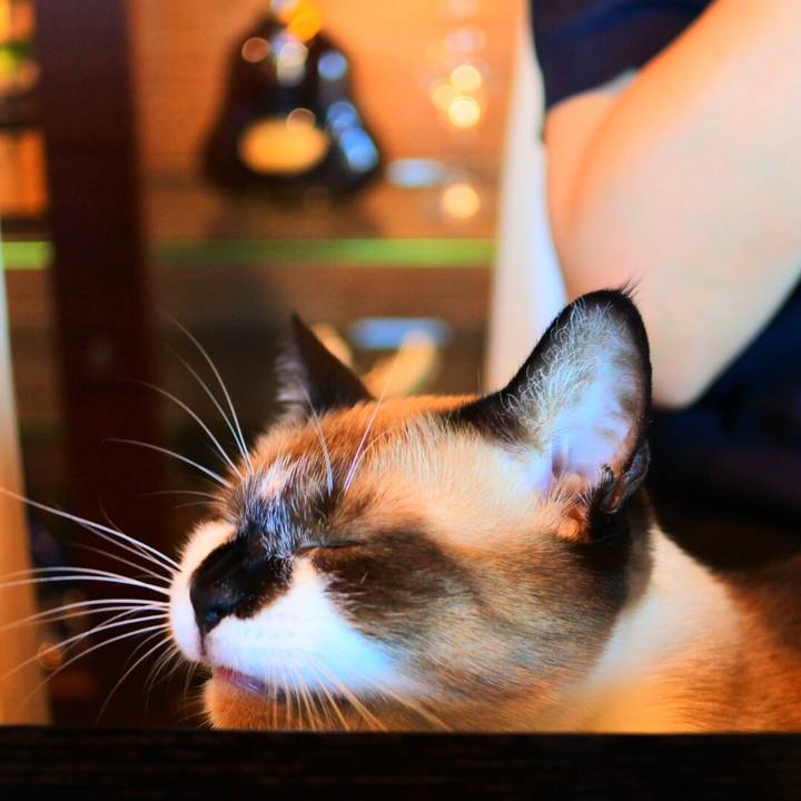 18e74f08 ad95 47ba bc4f a2764710b9aa