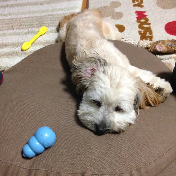 18e77d85 69fc 4a66 8f4b db45441eb3d9