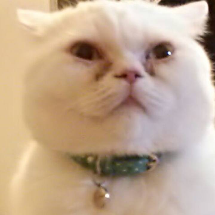 18e79e49 d2a8 4c3d 9118 0c014d1a60d4