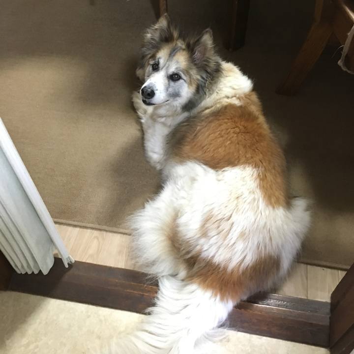 18e7ad48 8bb8 4ad7 bd97 ad6993cdd562