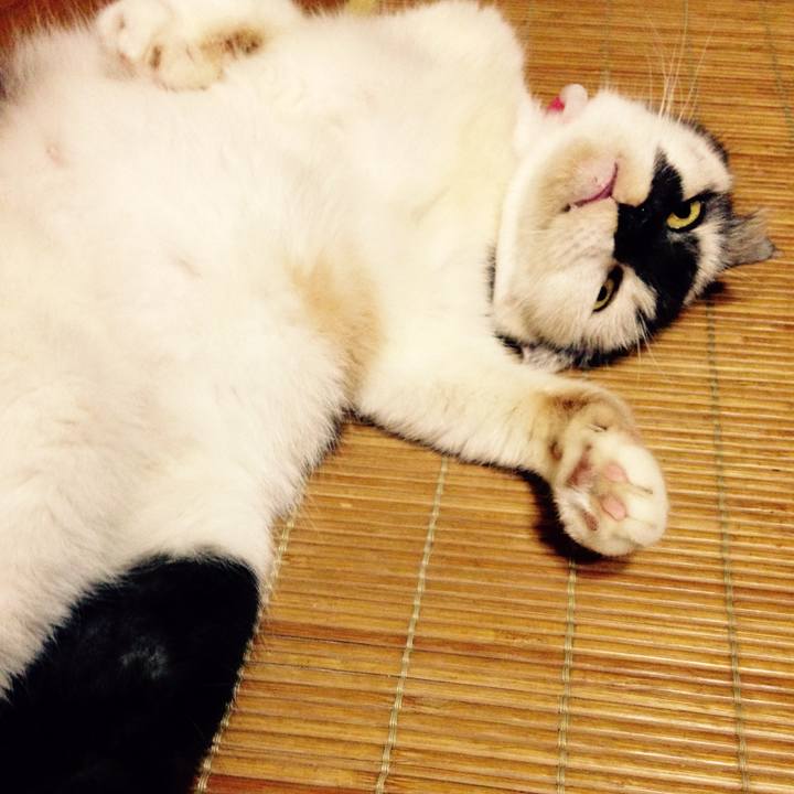 18e85937 abcf 4fc3 992a 78f75c6ad218