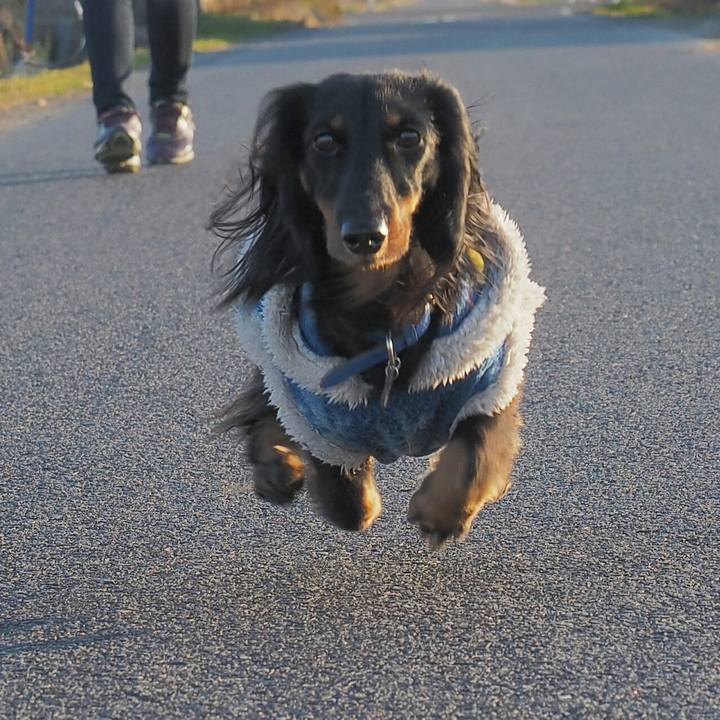 18e8eeac 0fcf 45e3 aed9 6f2da633a81e