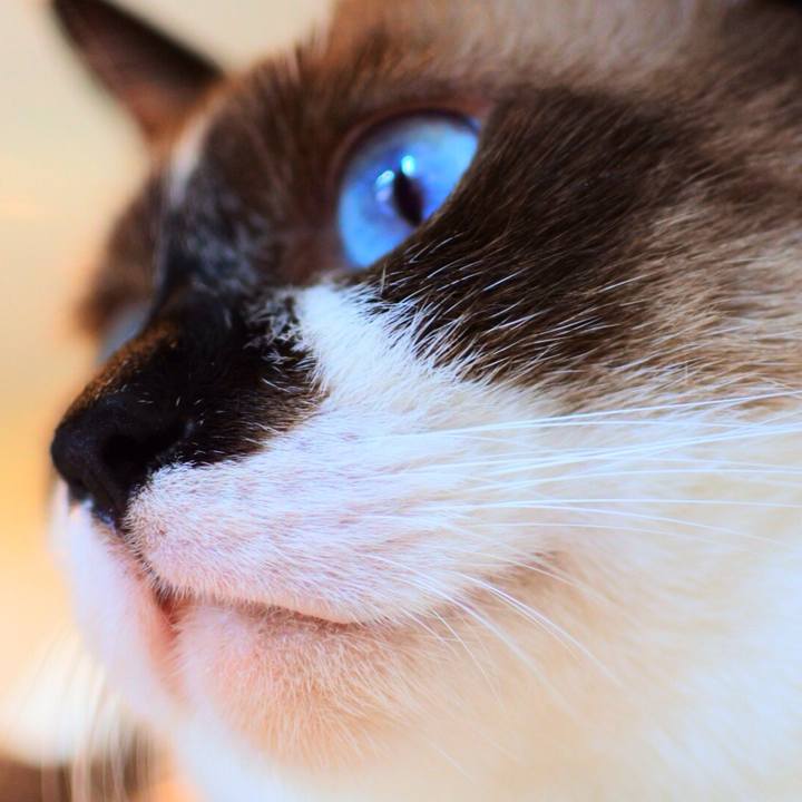 18e8f022 c5c7 4e62 b915 762c1448b223