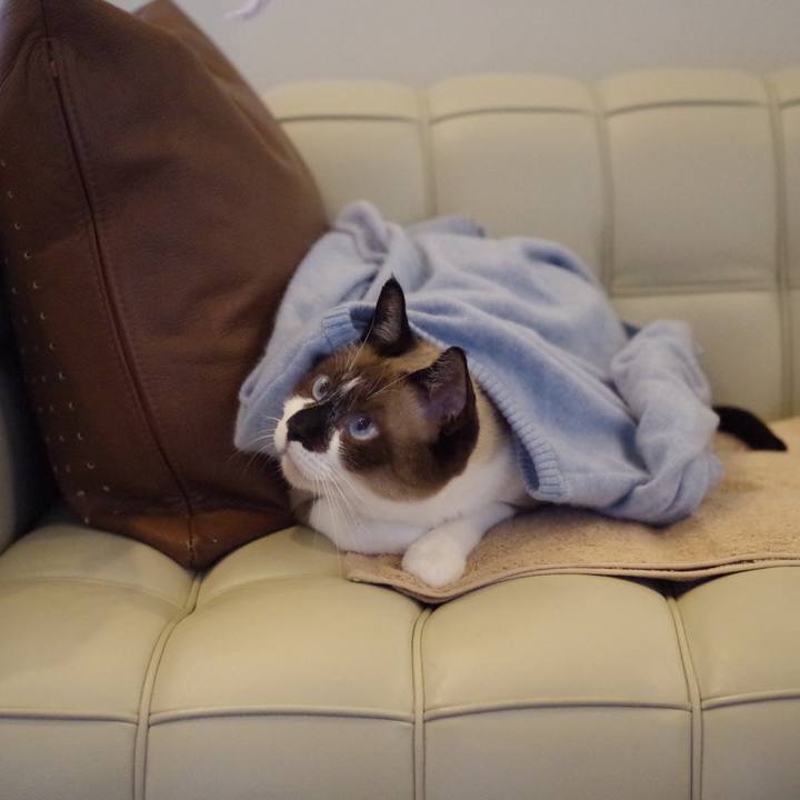 18e95184 747d 4084 abf0 02a5a96e873e