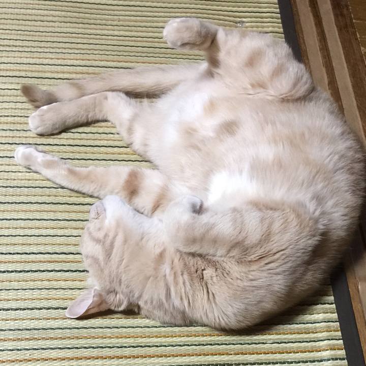 18e9630c ce7e 415a 8bf1 d33bfb6bf173