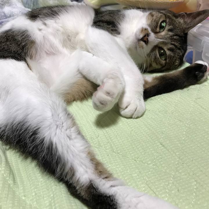 18e987ae a51f 4c67 bfdb f9fdeaf635ad