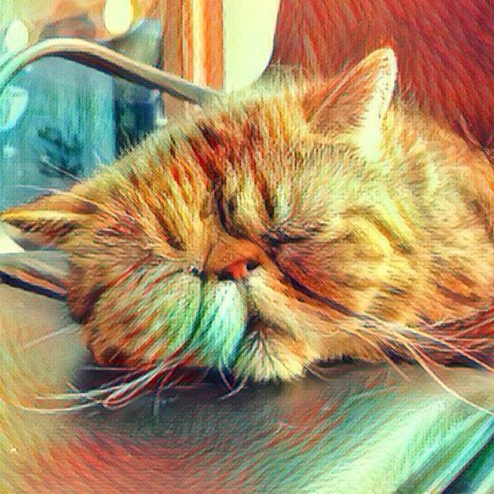 18e9b9a4 c174 4a39 8762 de899512f99f