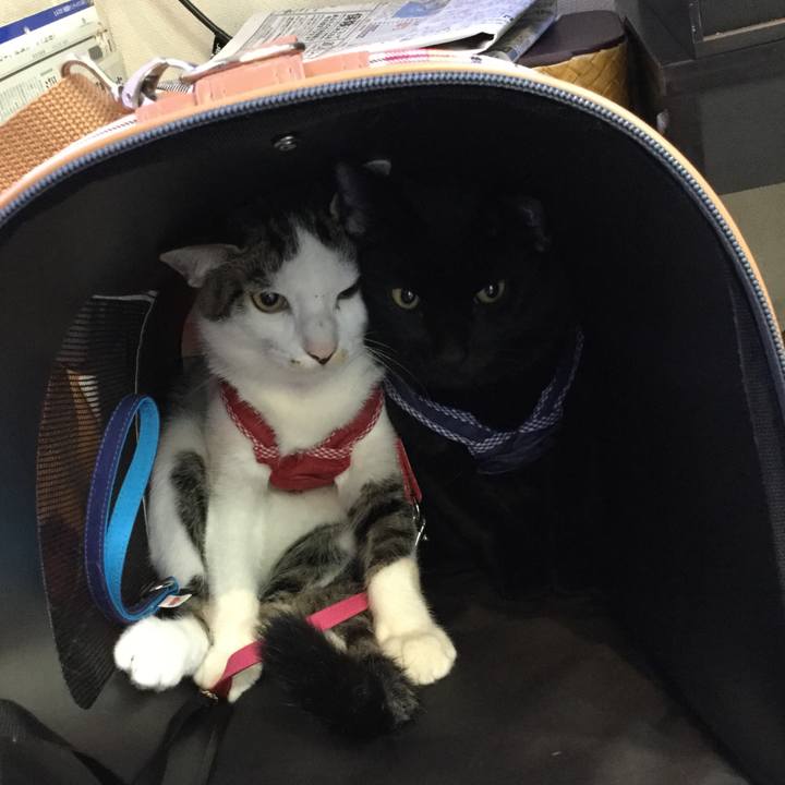 18ea01e6 d9e6 4bb8 b741 e4929f945faf