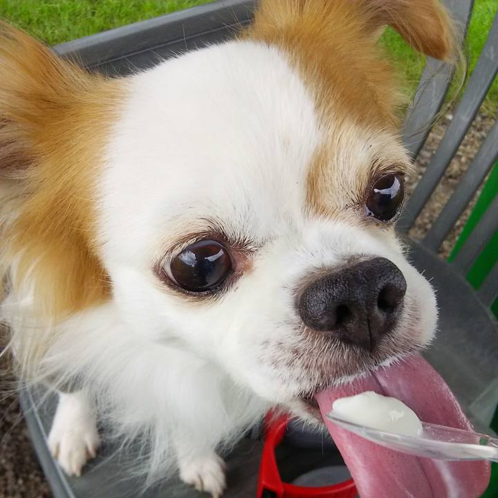 18ea9eae a91d 4399 b60c 0a4cef11d9a7