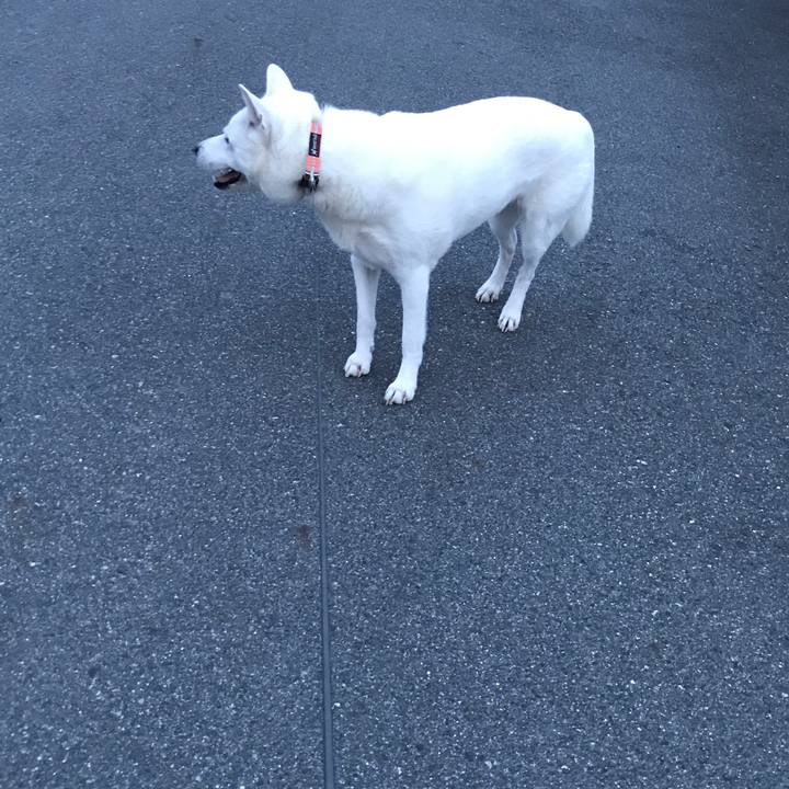 18eb1cc0 ae68 4fde 8024 09525e178edd